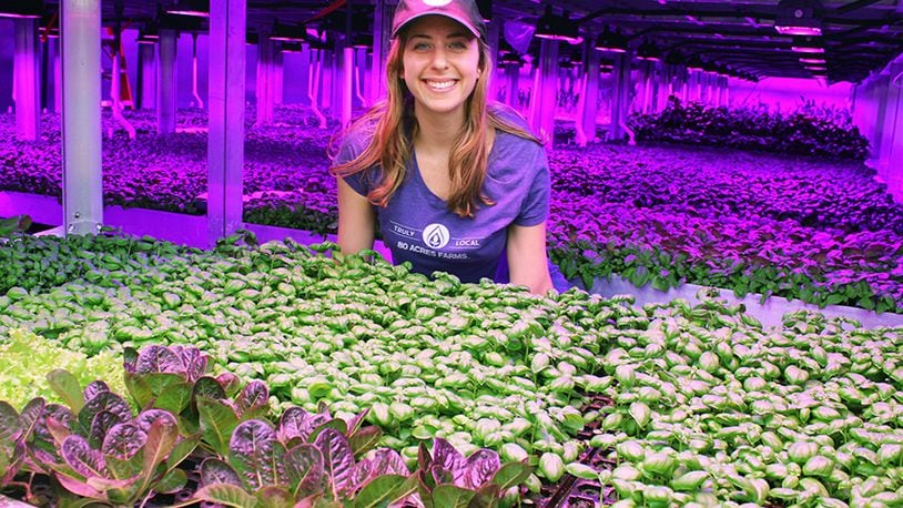 80 Acres Farms, which grows fruits and vegetables in an energy efficient, indoor environment, plans to start growing in Hamilton in 2019.