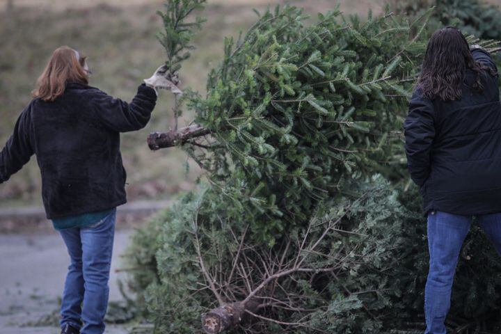 PHOTOS: Locals drop off Christmas trees to help Dayton MetroParks