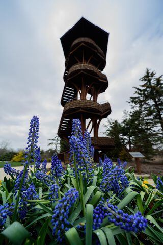 PHOTOS: Take a walk through beautiful Cox Arboretum this spring