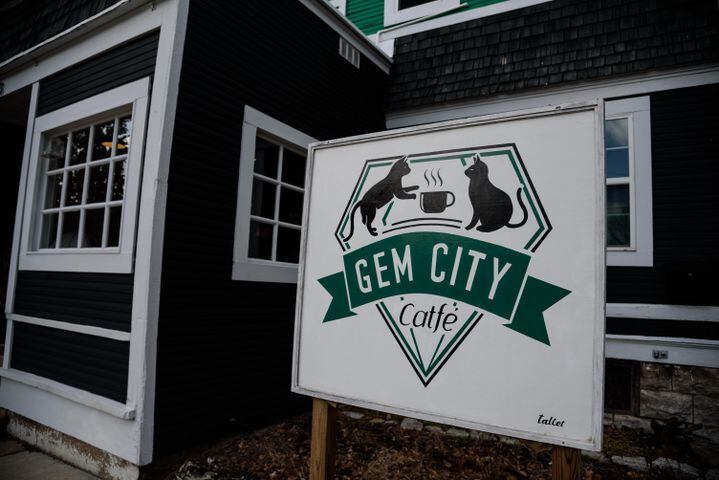 PHOTOS: Did we spot you celebrating the Gem City Catfé’s 1st birthday?