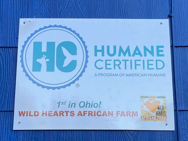 PHOTOS: Wild Hearts African Farm is a little slice of paradise