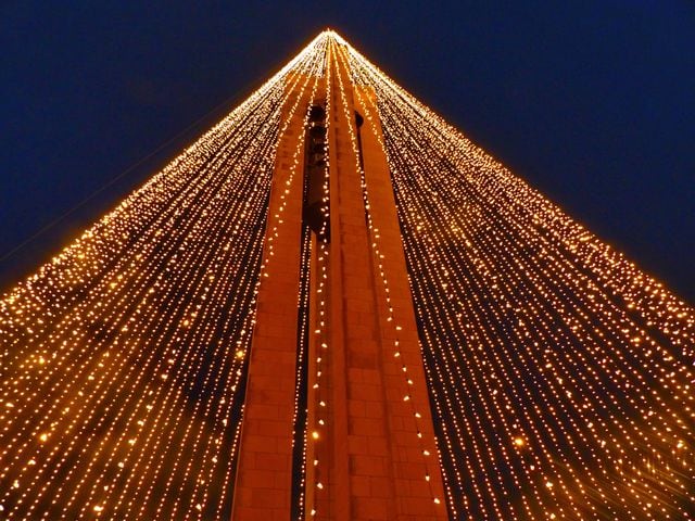 PHOTOS: Carillon Tree of Light 2016
