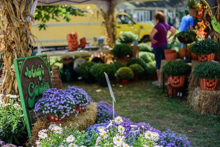 PHOTOS: Did we spot you embracing fall at the Tipp City Mum Festival?