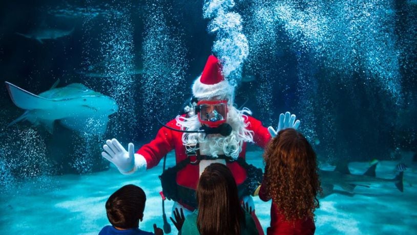 At Water Wonderland with Scuba Santa, running at the Newport Aquarium through December, kids will interact with Santa as he descends into a 385,000-gallon tank surrounded by sharks and one loggerhead turtle. CONTRIBUTED