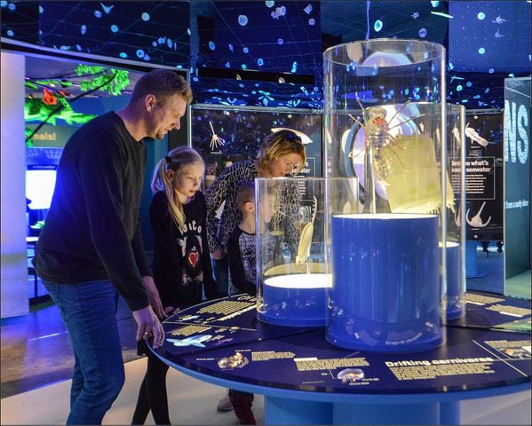 PHOTOS: New COSI exhibition is a voyage under the sea
