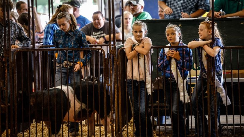 Swine princesses from left, Aubrey Lide, Alyssa Miller and Bella Neville watch the swine showmanship competition at the Greene County Fair on August 2, 2021. JIM NOELKER/STAFF