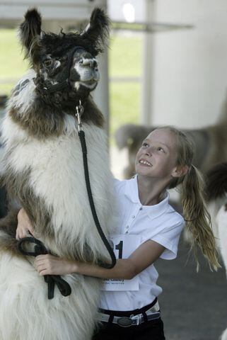 Llamas, goats and kids: 9 wacky images from the Warren County Fair
