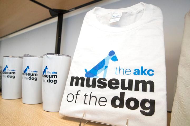 american kennel club museum of the dog