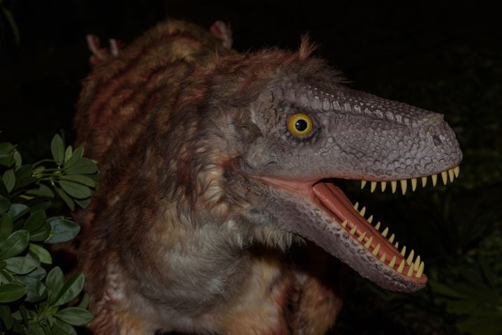 PHOTOS: Did we spot you hanging out with dinosaurs at Jurassic Quest at the Dayton Convention Center?