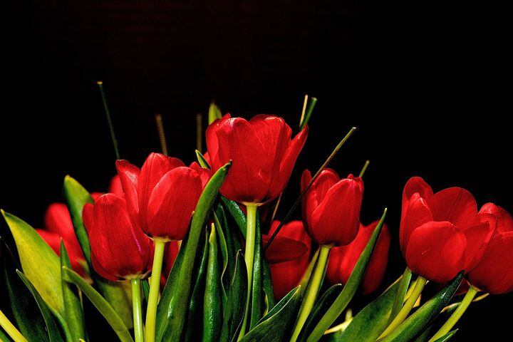 Most popular Valentine's Day flowers