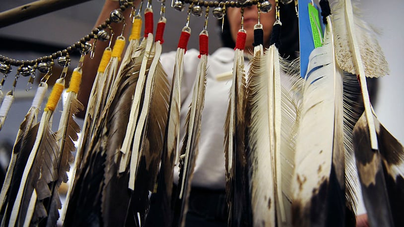 The National Eagle Repository in Colorado displays eagle feathers.