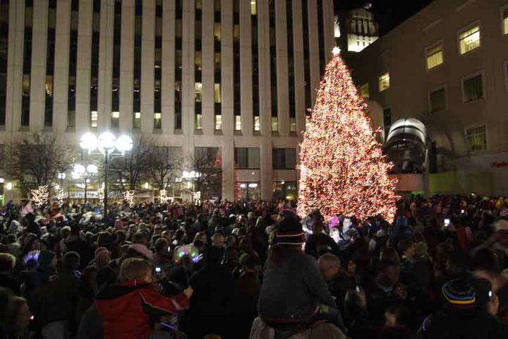 Tree lighting draws enthusiastic crowd