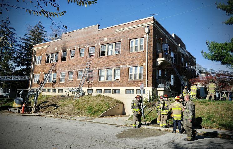 PHOTOS: Cats rescued from Dayton apartment fire