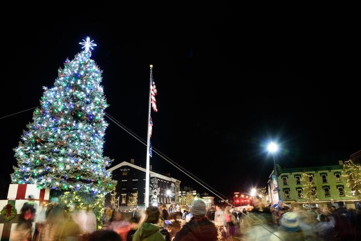 PHOTOS: Troy’s Holiday Tree Lighting