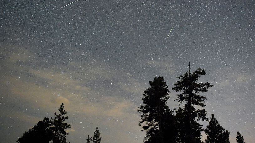 A pair of Perseid meteors streak across the sky above desert pine trees in Nevada. The Southern Delta Aquariids, Alpha Capricornids showers will be most visibile from the night of July 29 to the early hours of July 30.