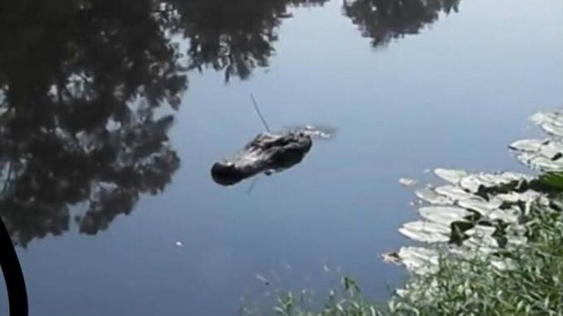 Residents of a San Antonio suburb can breathe a little easier after police said viral photos that appeared to show an alligator lurking in a Texas river were apparently an 'unintentional hoax.'