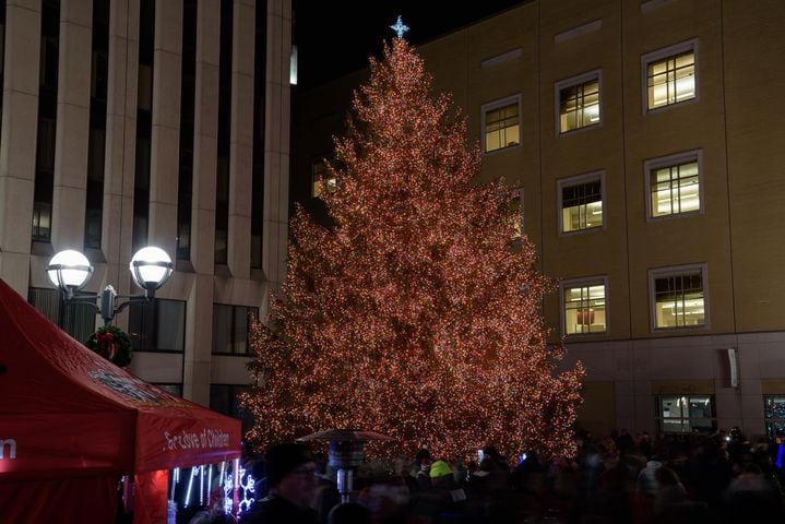 PHOTOS: Did we spot you at the downtown Dayton Holiday Festival?