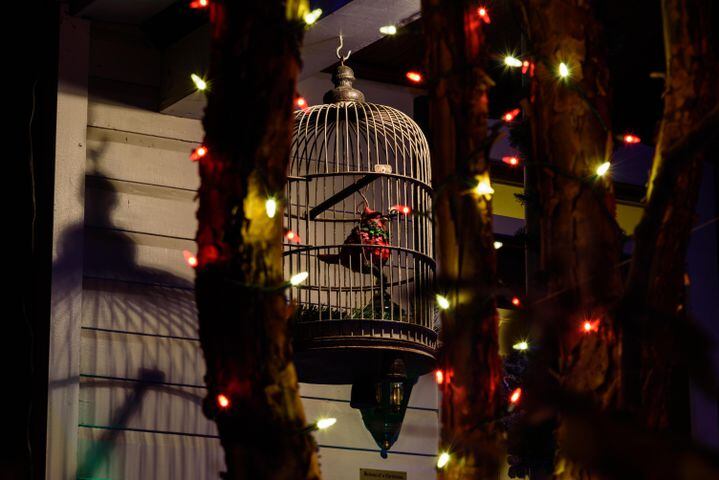 PHOTOS: Holiday on the Hill in the St. Anne's Hill Historic District