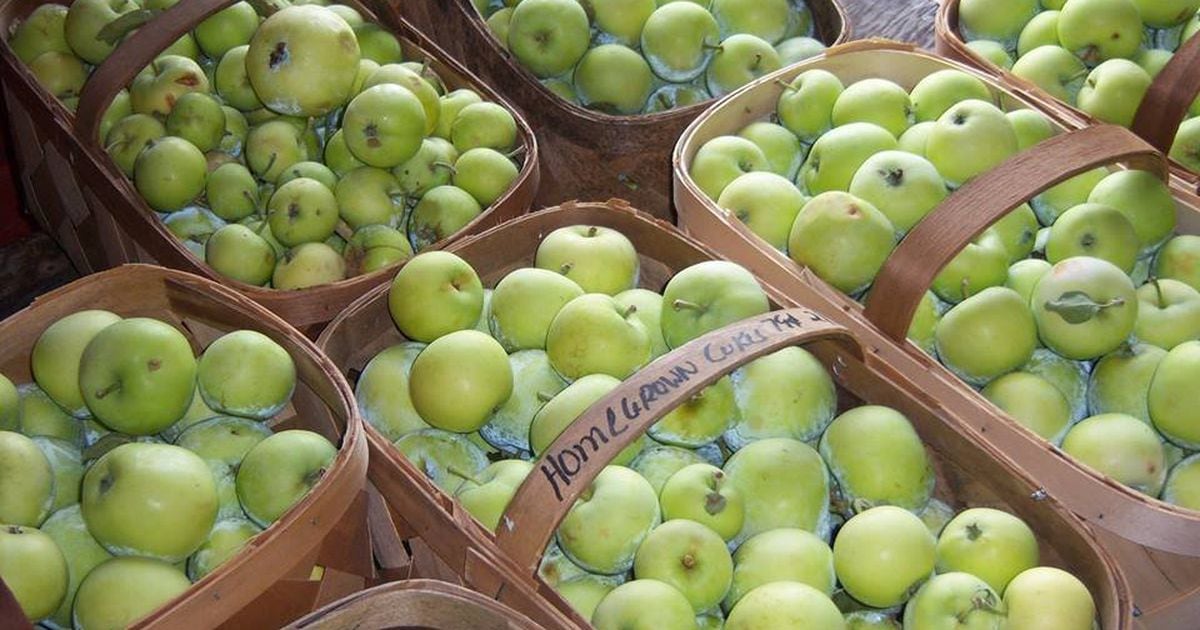 Small Granny Smith Apple - Each, Small/ 1 Count - Smith's Food and