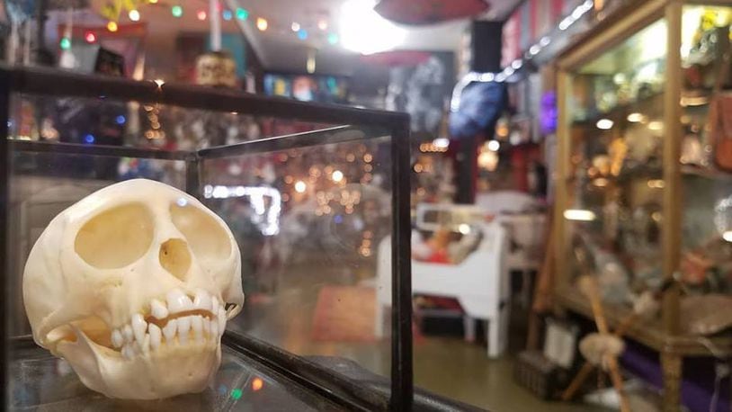 The Secret Chamber House of Oddities and Artwork is one unique shop that would be a great place to look for some of your hardest to shop for friends and family.