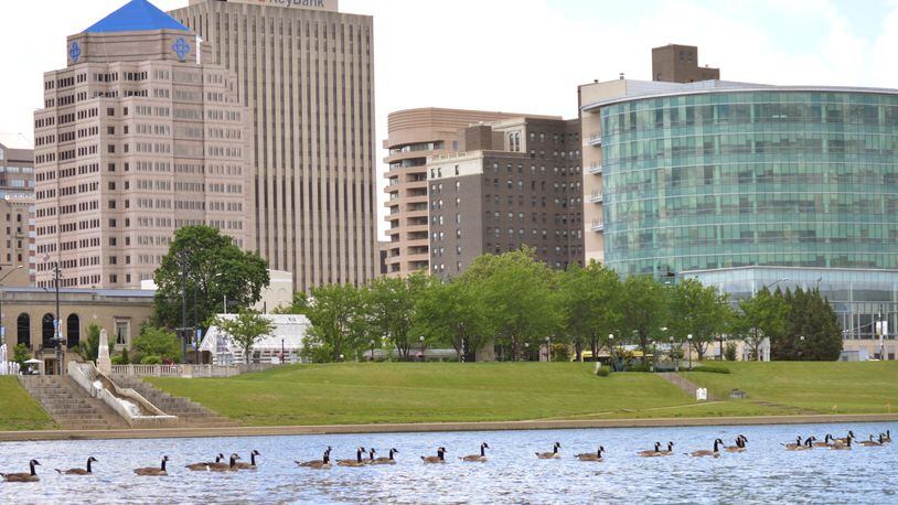 Geese roam along the Great Miami River with the Dayton skyline in the background. STAFF