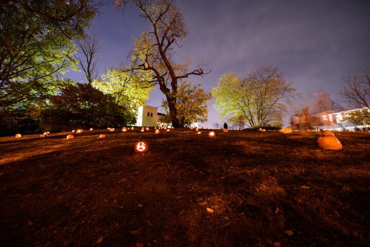 PHOTOS: The Stoddard Avenue Pumpkin Glow