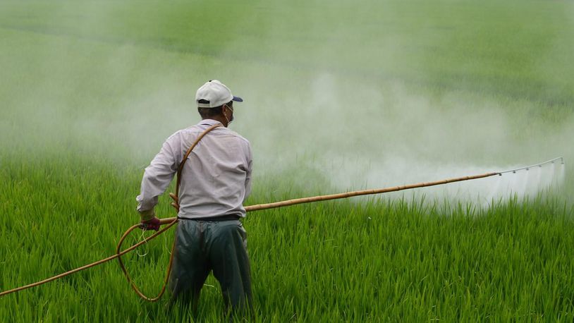 A farmer worker sprays crops. An appeals court has ordered the EPA to ban a toxic pesticide after the agency reversed an Obama administration recommendation on chlorpyrifos.