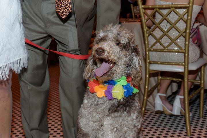 PHOTOS: Did we spot you at the Pet Afflaire Gala at the Dayton Arcade?