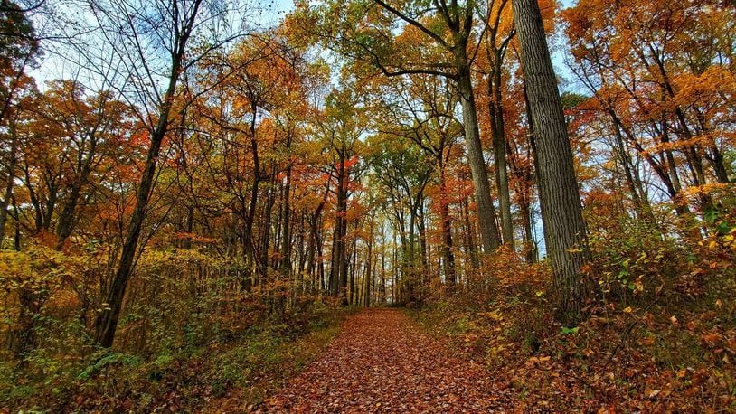 Stunning fall foliage in Fairfield County, Ohio.