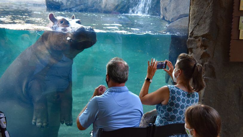 The Cincinnati Zoo &Botanical Gardens will host Breakfast with the Animals April 9 through August 28.