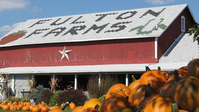 Fulton's Farm offer a huge selection of pumpkins, so you shouldn’t have trouble finding the right one for you. (Source: Facebook)