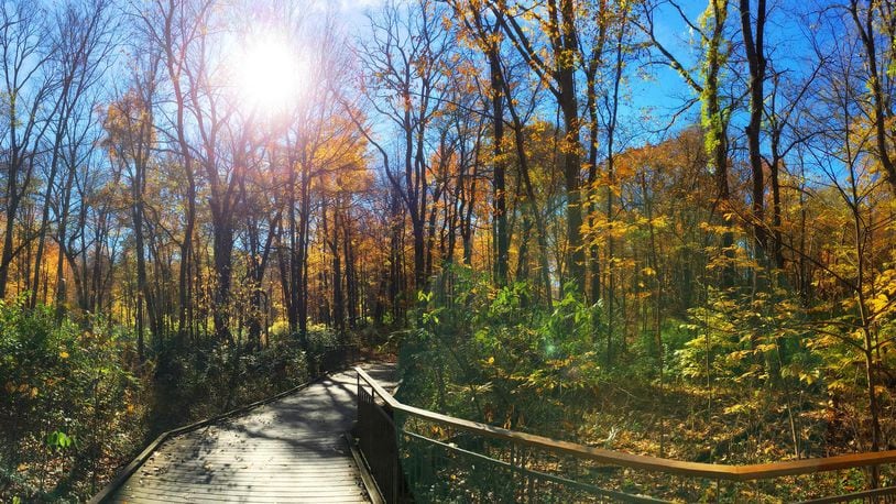 A must-do fall trail at Hills & Dales MetroPark. CONTRIBUTED