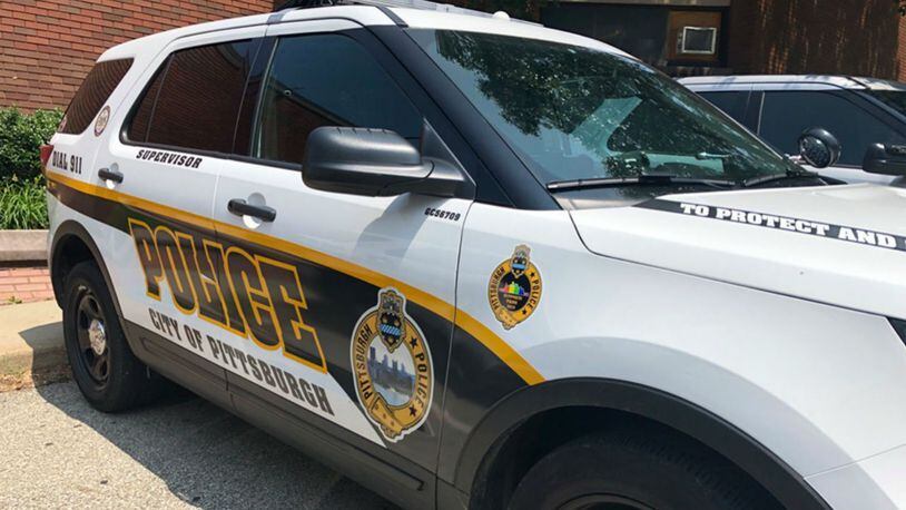 FILE PHOTO: Police said an officer shot and killed a Rottweiler after he was attacked while trying to help a man possibly having a seizure. (Photo: Pittsburgh Police)