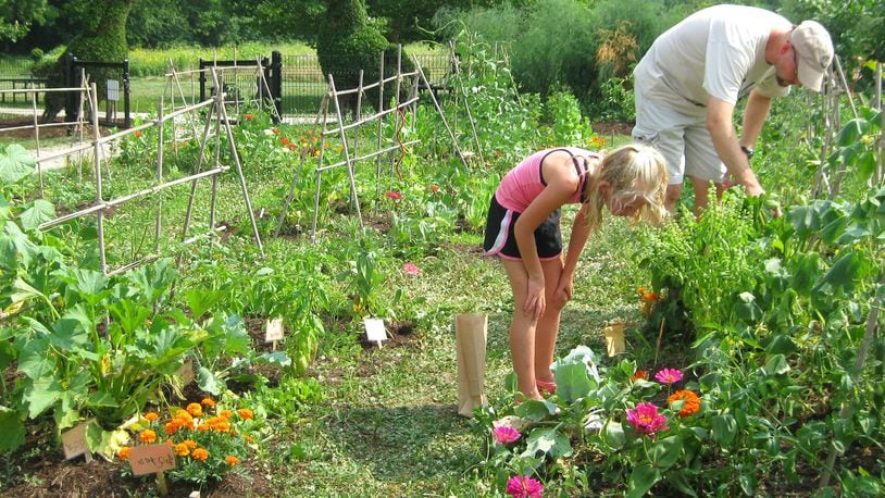 A parent and child gardening at a Five Rivers MetroParks. FIVE RIVERS METROPARKS