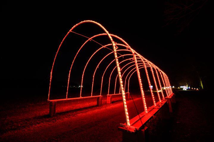 PHOTOS: Holiday Lights dazzle at Lost Creek Reserve in Troy