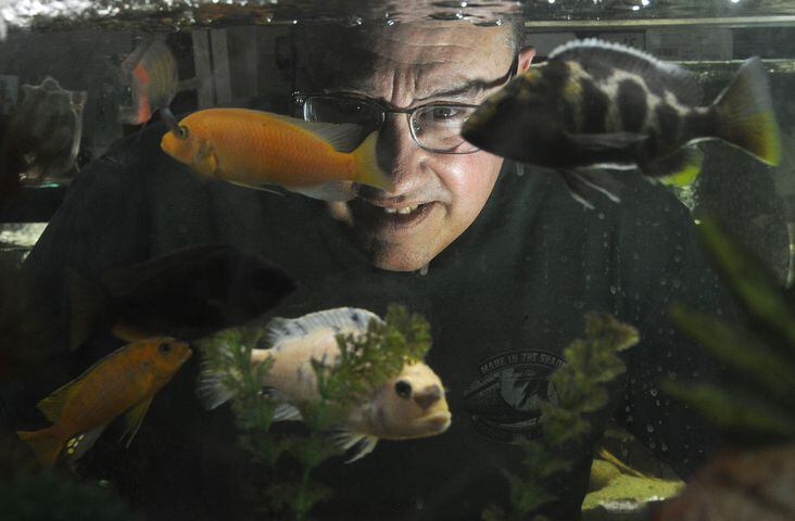 Pet store opens, featuring fish