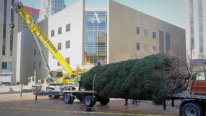 The tree chosen to star as The Dayton Holiday Festival tree arrives at Courthouse Square on Friday.