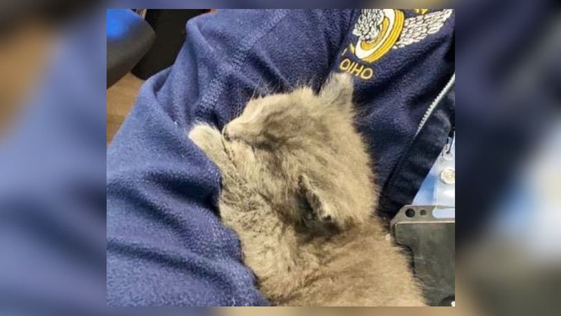 The kitten, now called "Trooper," was rescued on state Route 123 in Warren County by trooper Jacob Olsen | Photo courtesy of Ohio State Highway Patrol