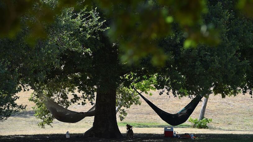 Two people in beat the heat in hammocks under a large tree. (ROBYN BECK/AFP/Getty Images)