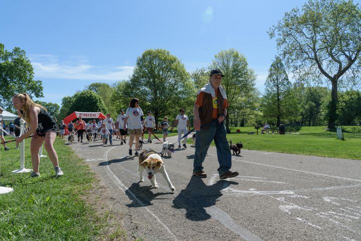 PHOTOS: Did we spot you and your doggie during the Furry Skurry 5K & Furry Fest at Eastwood MetroPark?