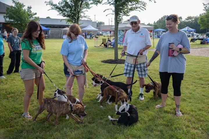 PHOTOS: Did we spot you or your dog at the annual Bark in the Burg?
