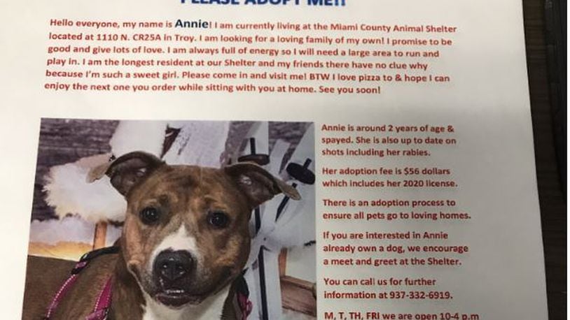 Miami County shelter flyer