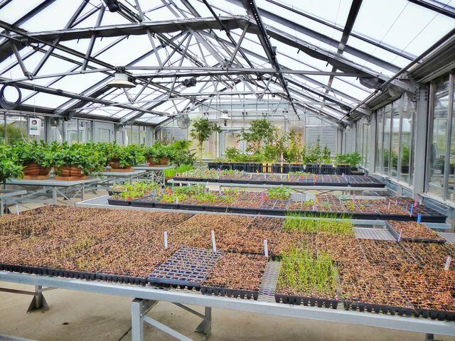 The Barbara Cox Center for Sustainable Horticulture