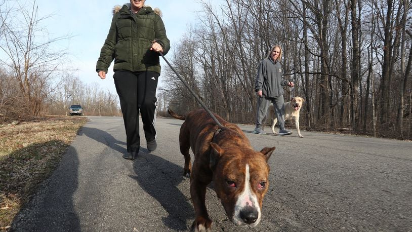 Hike with your puppy at the Howl at the Moon events with the Greene County Parks & Trails. BILL LACKEY/STAFF