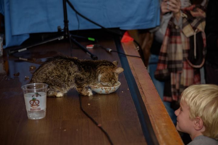 PHOTOS: Lil BUB came to Dayton! Did we spot you there?