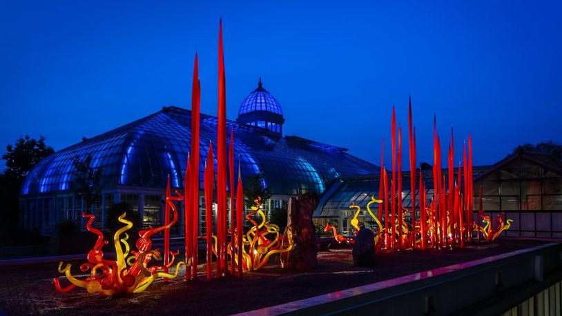 Chihuly’s “Red Reeds” on display at Franklin Park Conservatory in Columbus. CONTRIBUTED/CHIHULY STUDIO