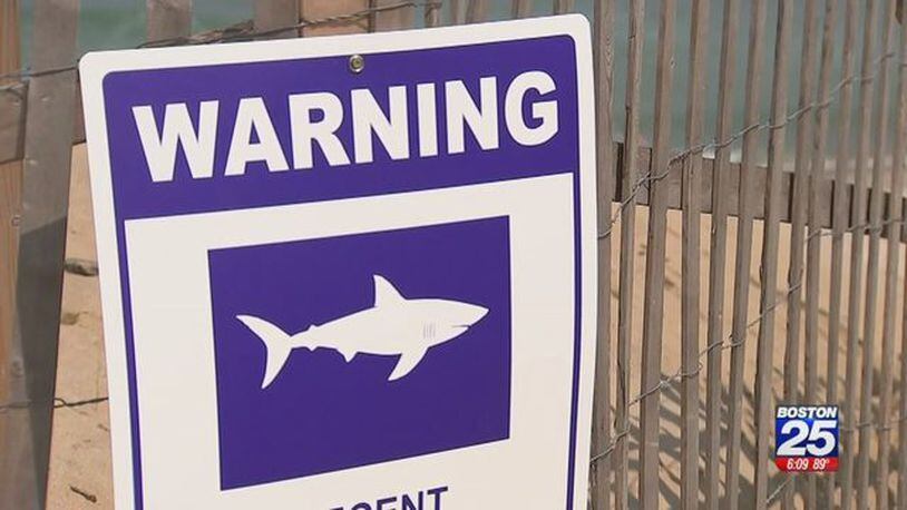 Some Massachusetts beaches are closed to swimming after recent shark activity. (Photo: Boston25News.com)