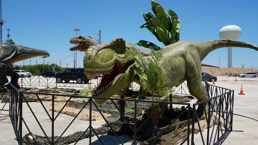 PHOTOS: Experience full-size predators and playful baby dinosaurs without leaving your car during Jurassic Quest