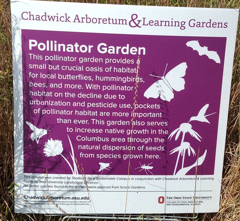 Un semn de la Chadwick Arboretum și Learning Gardens oferă informații despre habitatele polenizatorilor.  CONTRIBUIT