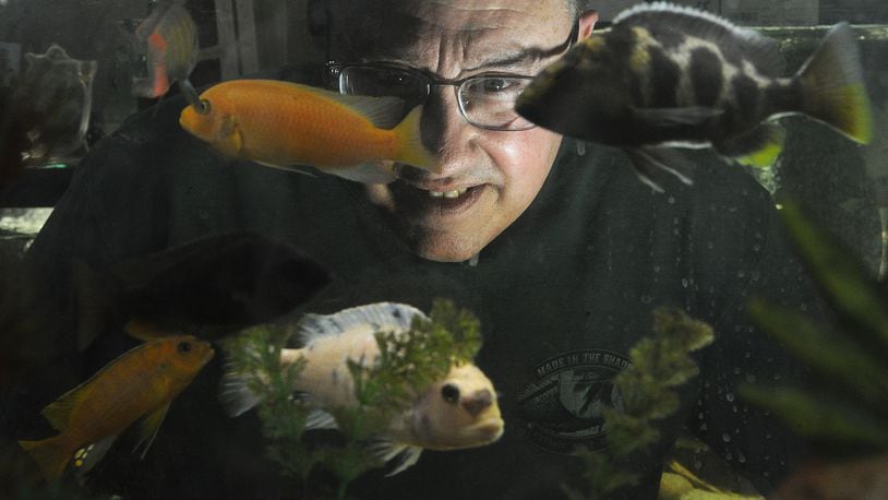 David Ratay, owner of Aquascapes Custom Aquarium Sales, checks on one of his many aquariums at his business. MARSHALL GORBY\STAFF